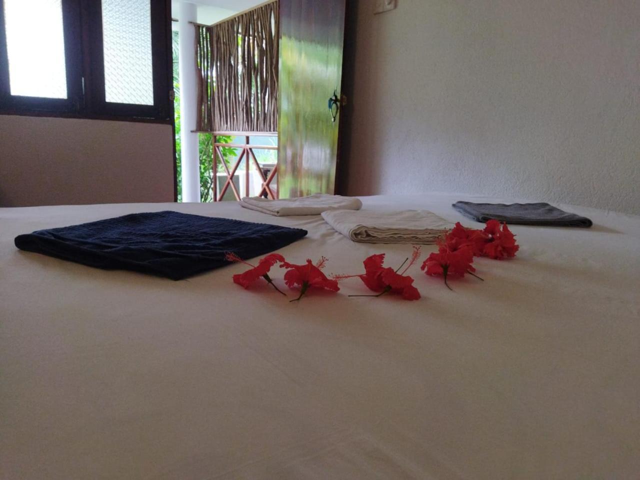 Lion Paradise Surf Beach マータラ 部屋 写真
