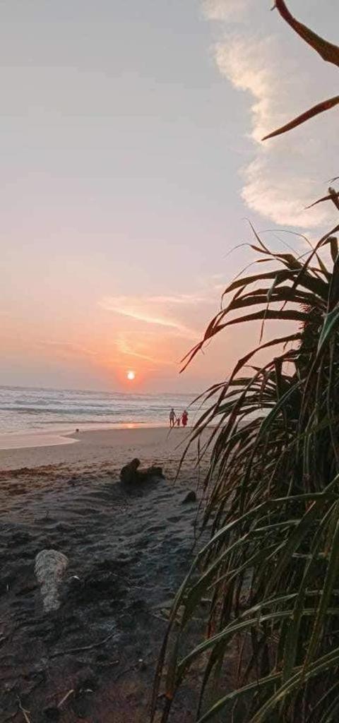Lion Paradise Surf Beach マータラ エクステリア 写真